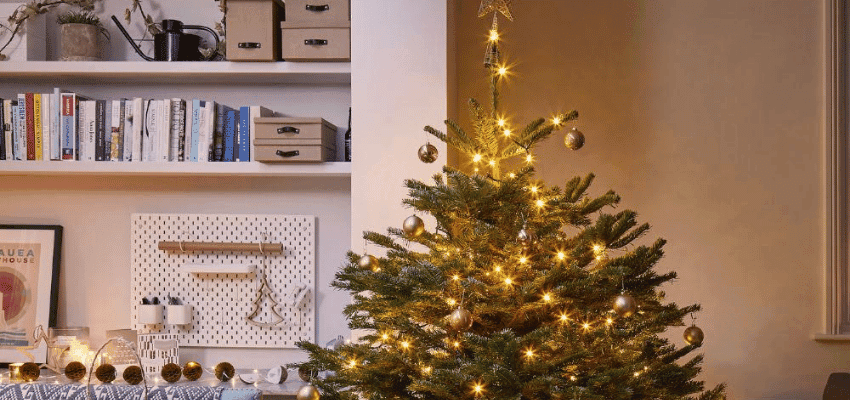 Christmas tree lit with warm lights in cosy living room Purpl disabled discounts members save on real christmas trees and festive home decor