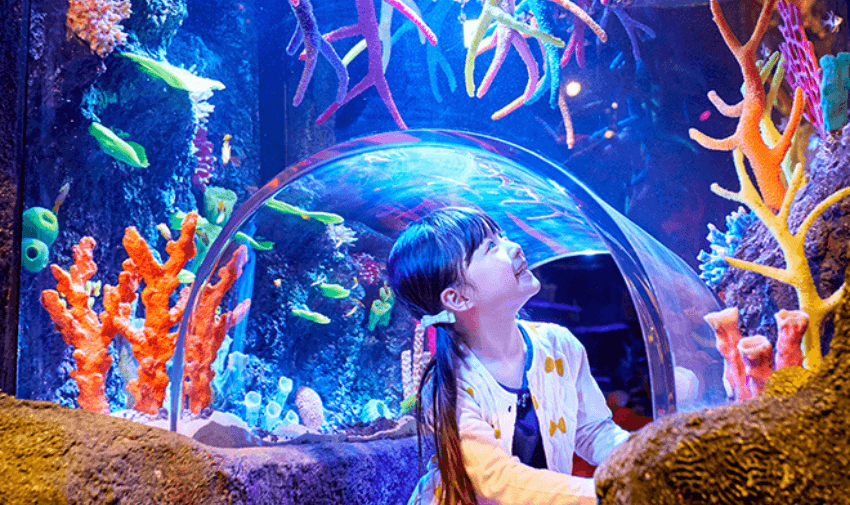 Child exploring vibrant coral reef tunnel at Sea Life Weymouth, part of Merlin Annual Pass disabled travel discounts UK.