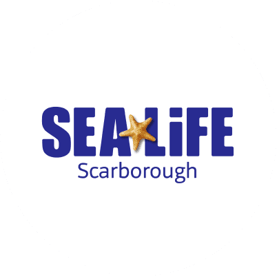 Sea Life Scarborough