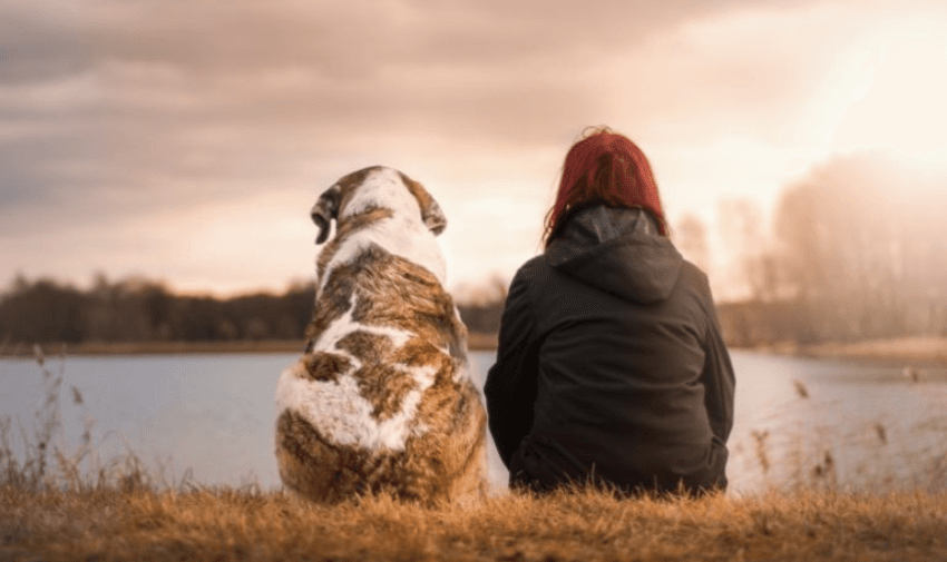 Person sitting by a lake with dog, CoverMy Pet, Purpl discounts for disabilities and long term health conditions, mobility discounts and offers.