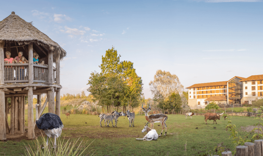 Safari animals grazing by lodge at Chessington World of Adventures, Purpl discounts for disabilities and long term health conditions, disabled travel discounts UK.