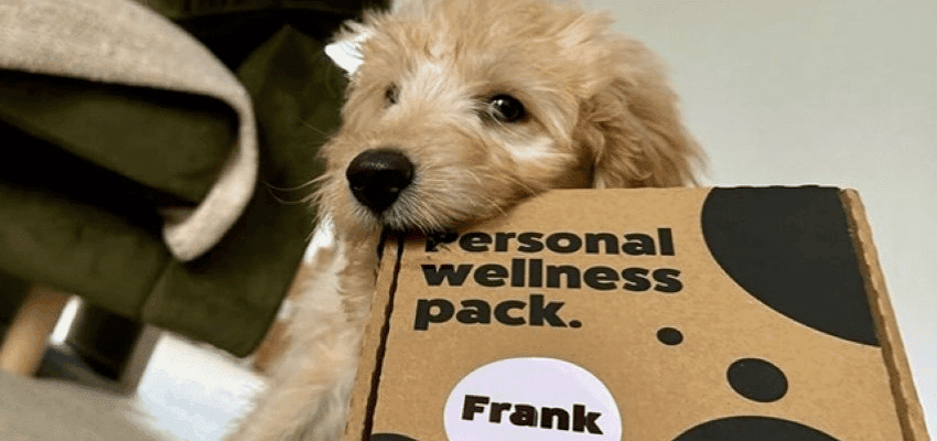 Puppy holding Itch Pet wellness pack box, Purpl discounts for disabilities and long term health conditions with mobility discounts and offers.