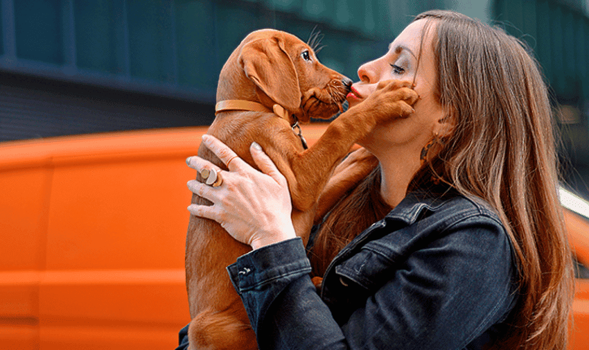 A person with long brown hair, wearing a denim jacket, is holding a brown puppy with an orange collar. They are kissing each other on the mouth. They are standing in front of an orange van.