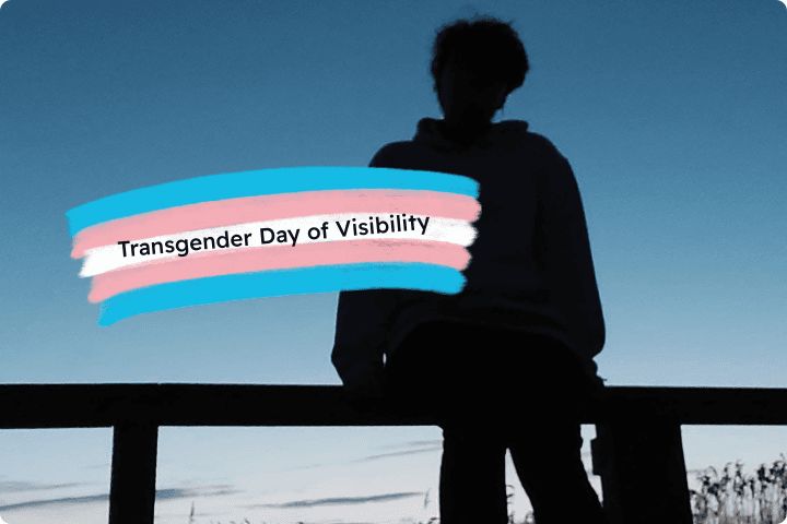 A blue evening background with the silhouette of a person sat on a fence, text reads Transgender day of visibility and sits across a trans flag made up of pale pink and blue stripes and a white stripe